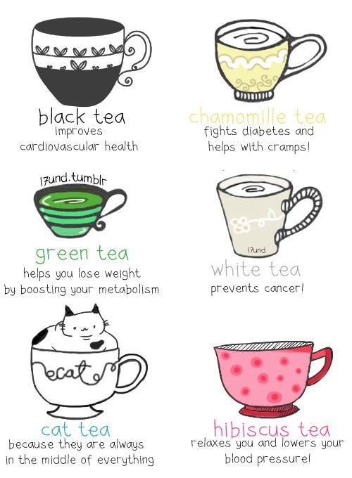 Rodzaje herbaty